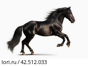 Prancing black purebred horse. Generate ai. Стоковое AI-изображение, AI-художник Иван Рябоконь / Фотобанк Лори