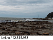 Черное море, зима,    шторм у берега.     Краснодарский край, Туапсинский район, Михайловская бухта. (2023 год). Стоковое фото, фотограф Александр Циликин / Фотобанк Лори