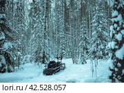 Зимний лес. Стоковое фото, фотограф Данила Савченко / Фотобанк Лори