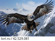 High-altitude Condor flying mountains. Generate Ai. Стоковое AI-изображение, AI-художник Иван Рябоконь / Фотобанк Лори