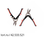 Compound action snips isolated on a white background. Стоковое фото, фотограф Елена  Попкова / Фотобанк Лори