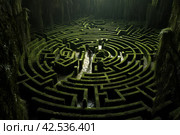 Confused Man stuck in the middle of maze. Generate ai. Стоковое AI-изображение, AI-художник Иван Рябоконь / Фотобанк Лори
