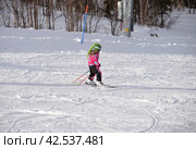 Small child learning to ski on ski southern slope of Bolshoi Vudyavr ski complex, Kirovsk, Murmansk region, Russia in March (2024 год). Стоковое фото, фотограф Алексей Антипов / Фотобанк Лори