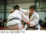 Tenacious Male training judo. Generate Ai. Стоковое AI-изображение, AI-художник Иван Рябоконь / Фотобанк Лори