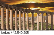 Forum (Oval Plaza) in Gerasa (Jerash), Jordan. Was built in the first century AD. Against the background of the sunset, 4K, time lapse (2024 год). Стоковое видео, видеограф Владимир Журавлев / Фотобанк Лори