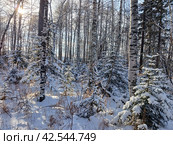 Природа Бурятии. Стоковое фото, фотограф Елена Забелина / Фотобанк Лори