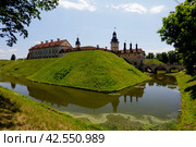 Несвижский замок Радзивиллов. Беларусь (2023 год). Редакционное фото, фотограф Курносов Александр Юрьевич / Фотобанк Лори