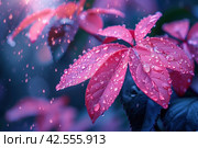 Rain drops on the red leaves of the plant. Natural background. ,    Generative AI. Стоковое AI-изображение, AI-художник Анна Кривицкая / Фотобанк Лори