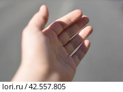 Протянутая рука. Стоковое фото, фотограф Наталья Филатова / Фотобанк Лори