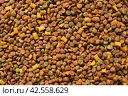 Pet Food Texture. Lot of Dry Granules of Crunchy Dog or Cat Food. Rotating Background. Animal Feed Pile. Fodder. Meal for Cats, Dogs. Filling. Daylight. Advertising. Pet Shop, Delivery. Healthy Treat. Стоковое фото, фотограф Марина Демидюк / Фотобанк Лори