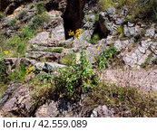 Urubamba Sacred Valley of Incas, Peru, South America (2011 год). Стоковое фото, фотограф Сергей Стрелков / Фотобанк Лори