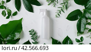 water and oil repellant spray surrounded by green leaves. Стоковое AI-изображение, AI-художник Юлия Гапеенко / Фотобанк Лори