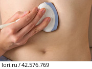 Closeup of ultrasound diagnostics. Examination of pancreas, left lobe and liver with convex probe. Стоковое фото, фотограф Natalia Gdovskaia / Фотобанк Лори