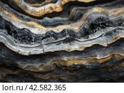Textured Layers of Striated Rock Formation. Стоковое AI-изображение, AI-художник Кирилл Черезов / Фотобанк Лори