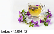 Herbal tea in a transparent cup with flowers on a white background. Copy space. Стоковое AI-изображение, AI-художник Ярославский Максим / Фотобанк Лори