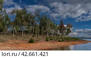 There is a forest growing on the shore of the lake. Green trees and bushes on the red soil of Madagascar. Clouds in the blue sky. Reflection on the water. Mantasoa Lake. Стоковое фото, фотограф Вера Ивановна Кубарева / Фотобанк Лори