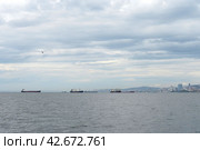 Морские суда в Амурском заливе у Владивостока (2022 год). Редакционное фото, фотограф Free Wind / Фотобанк Лори