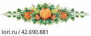 Watercolor illustration of а сollection of pumpkins and vegetables with green leaves, tracery autumn illustration isolated on a white background. Акварельная иллюстрация с тыквами. Стоковая иллюстрация, иллюстратор Карнаухова Елена / Фотобанк Лори