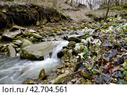Ручей Коваленко, Адыгея. Стоковое фото, фотограф Оглоблин Андрей Николаевич / Фотобанк Лори