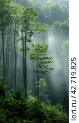 Sunlight Peeking Through Trees in Woods. Стоковое AI-изображение, AI-художник Юлия Гапеенко / Фотобанк Лори