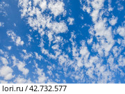 Blue sky with layer white altocumulus clouds on a sunny day. Стоковое фото, фотограф EugeneSergeev / Фотобанк Лори