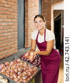 Girl seller of garden stuff store is replenishing showcase with vegetables, puts onion on showcase. Стоковое фото, фотограф Яков Филимонов / Фотобанк Лори