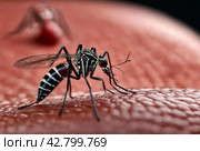 Close-up of striped mosquito on human skin, macro photo. Mosquitoes (Aedes aegypti) sucking human blood, close up. Carriers of dengue fever and malaria concept. Gen ai illustrate. Copy ad text space. Стоковое AI-изображение, AI-художник Aleksandr Golubev / Фотобанк Лори