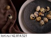 Eggs quail on a gray plate. Top view. Dietary food. Стоковое фото, фотограф Валерий Леонидович / Фотобанк Лори