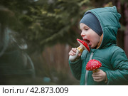 A child and a fly agaric. The boy with the fly agaric. A dangerous poisonous mushroom in the hands of a child. Mushroom poisoning, microdosing, eating herbal medicine. Стоковое фото, фотограф Photojuli / Фотобанк Лори