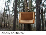 Hanging homemade feeder or platform for feeding birds and squirrels in winter and spring during hungry times. Feeders for birds and squirrels in a forest or city park. Стоковое фото, фотограф Юлия Петровская / Фотобанк Лори