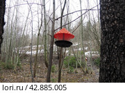 Hanging homemade feeder or platform for feeding birds and squirrels in winter and spring during hungry times. Feeders for birds and squirrels in a forest or city park. Стоковое фото, фотограф Юлия Петровская / Фотобанк Лори