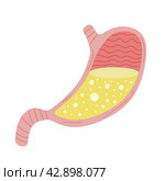 Cute flat cartoon stomach of human with hydrochloric acid isolated on white background. Anatomical internal organ of digestive system. Design element for gastroenterology concept. Vector illustration. Стоковая иллюстрация, иллюстратор Валентина Калашникова / Фотобанк Лори