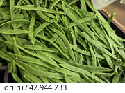 Green romano beans on the counter in the market. Стоковое фото, фотограф Татьяна Яцевич / Фотобанк Лори