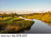 Река Оредеж в Ленинградской области. Осень (2016 год). Стоковое фото, фотограф Александр Алексеев / Фотобанк Лори