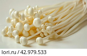 Enoki enokitake flammulina velutipes edible mushroom. Стоковое AI-изображение, AI-художник Katsiaryna Repich / Фотобанк Лори