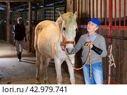 Older woman rancher caressing white racehorse after riding. Стоковое фото, фотограф Яков Филимонов / Фотобанк Лори