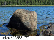 Причуды Севера. Стоковое фото, фотограф Владимир Гурко / Фотобанк Лори