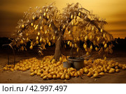 Fruitful Pear fruits branch tree. Generate Ai. Стоковое AI-изображение, AI-художник Иван Рябоконь / Фотобанк Лори