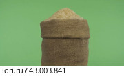 Вращение  полного мешка  рисового зерна. Крупный план. Зеленый экран. Rotating a full bag of rice grain. Close-up. Стоковое видео, видеограф Александр Собко / Фотобанк Лори