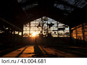 Clandestine Silhouette fbi agent warehouse. Generate Ai. Стоковое AI-изображение, AI-художник Иван Рябоконь / Фотобанк Лори