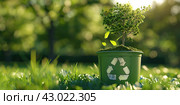 Green Plant growing in a pot with recycle symbol icon, eco sign. Bokeh blur natural background. Copy space for text. Saving the Earth, Earth Day, environmental sustainability. Reforestation. Стоковое AI-изображение, AI-художник Марина Демидюк / Фотобанк Лори