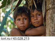 Amazonia tribe children. Generate Ai. Стоковое AI-изображение, AI-художник Иван Рябоконь / Фотобанк Лори