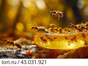 Golden Ants honey drop sunlight. Generate Ai. Стоковое AI-изображение, AI-художник Иван Рябоконь / Фотобанк Лори