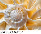 Spiral Shell Close-up. Стоковое AI-изображение, AI-художник Кирилл Черезов / Фотобанк Лори