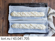Two raw dough for a French baguette. Proofing of yeast dough before baking. Стоковое фото, фотограф Natalia Gdovskaia / Фотобанк Лори