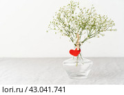Valentine's Day. Delicate white flowers in vase. Red felt heart - symbol of lovers. Стоковое фото, фотограф Natalia Gdovskaia / Фотобанк Лори