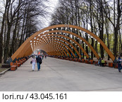 Sokolniki park, sunny autumn day wooden arch (2022 год). Редакционное фото, фотограф Фотограф / Фотобанк Лори