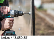 A man holds a battery-powered screwdriver and assembles a new greenhouse made of polyethylene, polycarbonate. Macro photography. Side view. Preparing for the spring garden season. Стоковое фото, фотограф Photojuli / Фотобанк Лори