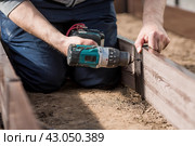A man holds a battery-powered screwdriver and collects new beds from WPC into a greenhouse made of polyethylene, polycarbonate. Macro photography. Side view. Preparing for the spring garden season. Стоковое фото, фотограф Photojuli / Фотобанк Лори