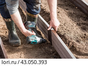 A man holds a battery-powered screwdriver and collects new beds from WPC into a greenhouse made of polyethylene, polycarbonate. Macro photography. Side view. Preparing for the spring garden season. Стоковое фото, фотограф Photojuli / Фотобанк Лори